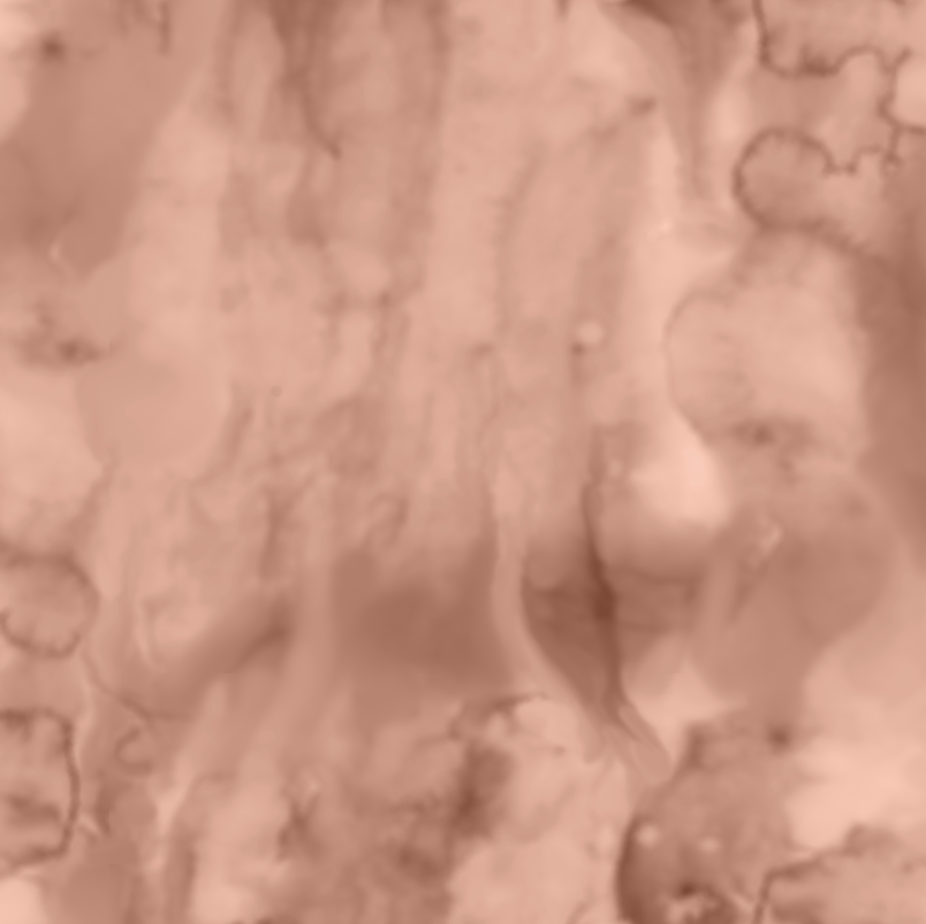 Screen Shot 2022-10-11 at 8.21.50 AM.png