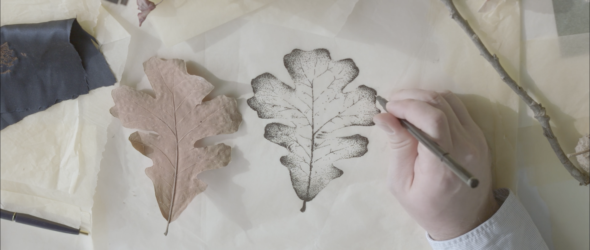 Screen Shot 2022-11-10 at 7.50.21 AM.png