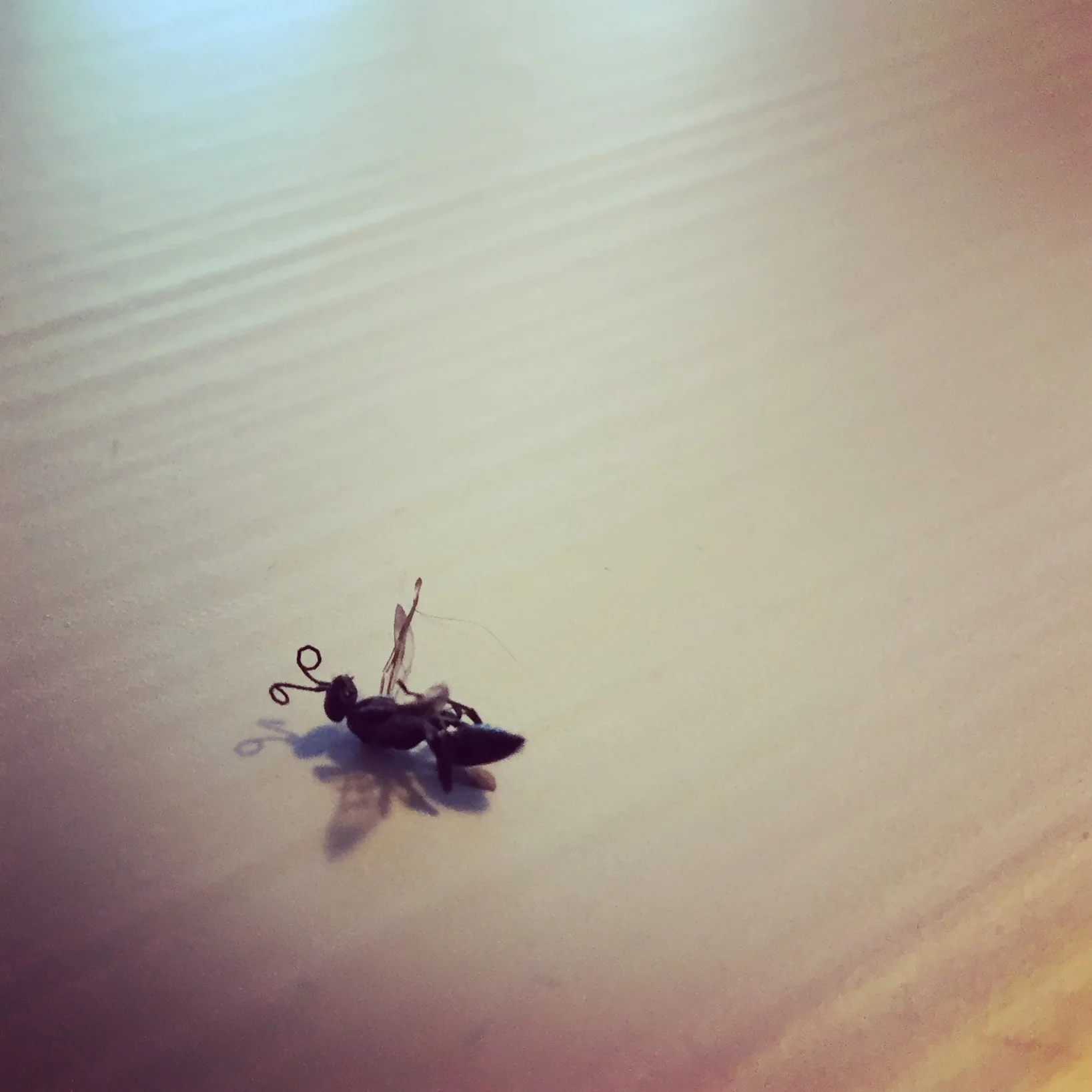 Arjen unohdettu tavoite