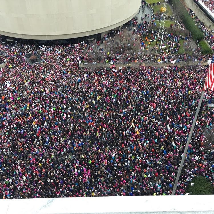  Aerial view: Women’s March on Washington, Jan. 21, 2017. Photo Credit:&nbsp;Kerry Fleming 