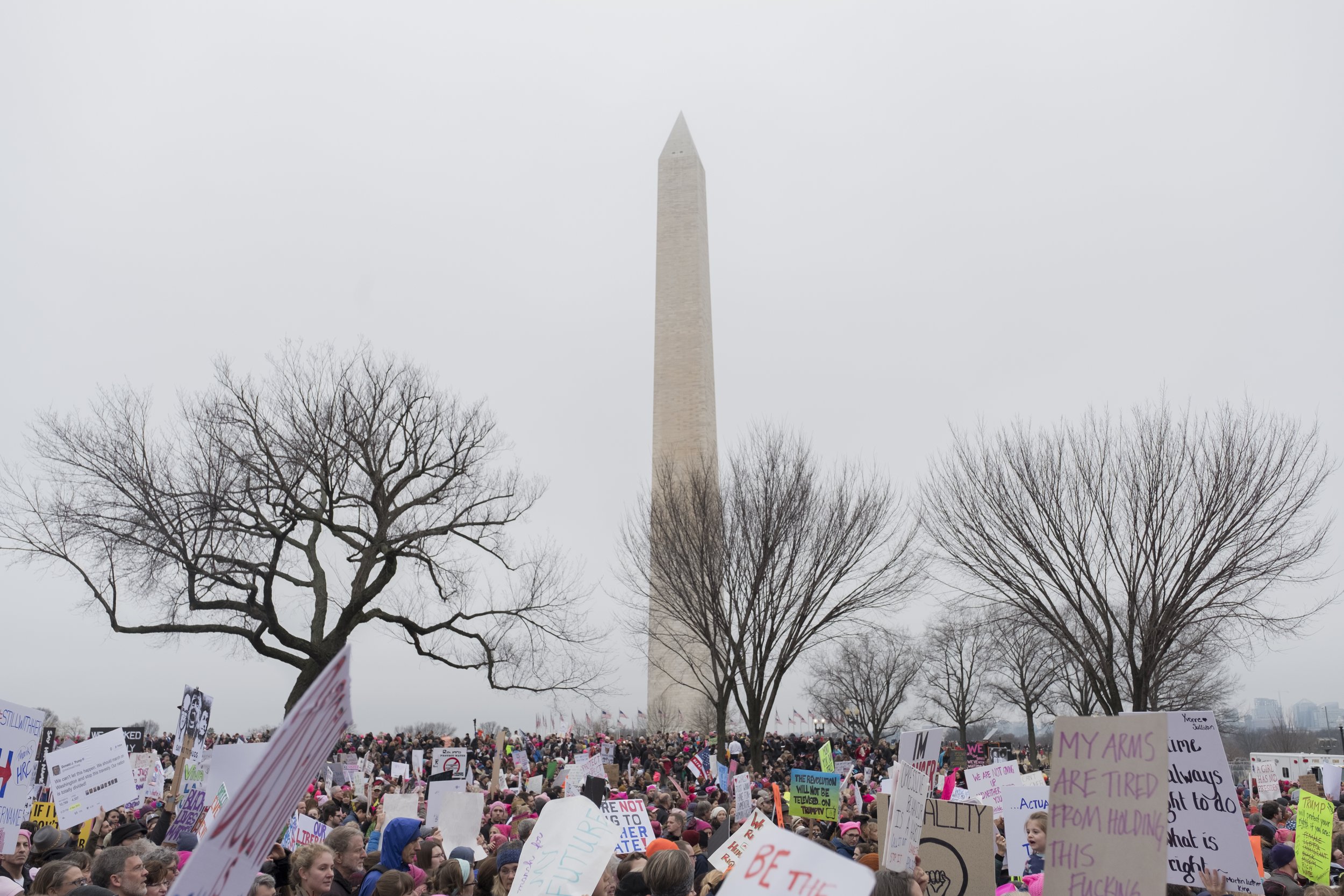  Women’s March on Washington, Jan. 21, 2017.&nbsp;Photo Credit: Katie Orlinsky 