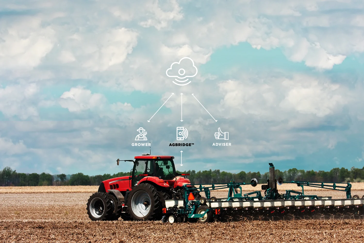 AgbridgeData-Website-banner-v2-COLOR.jpg