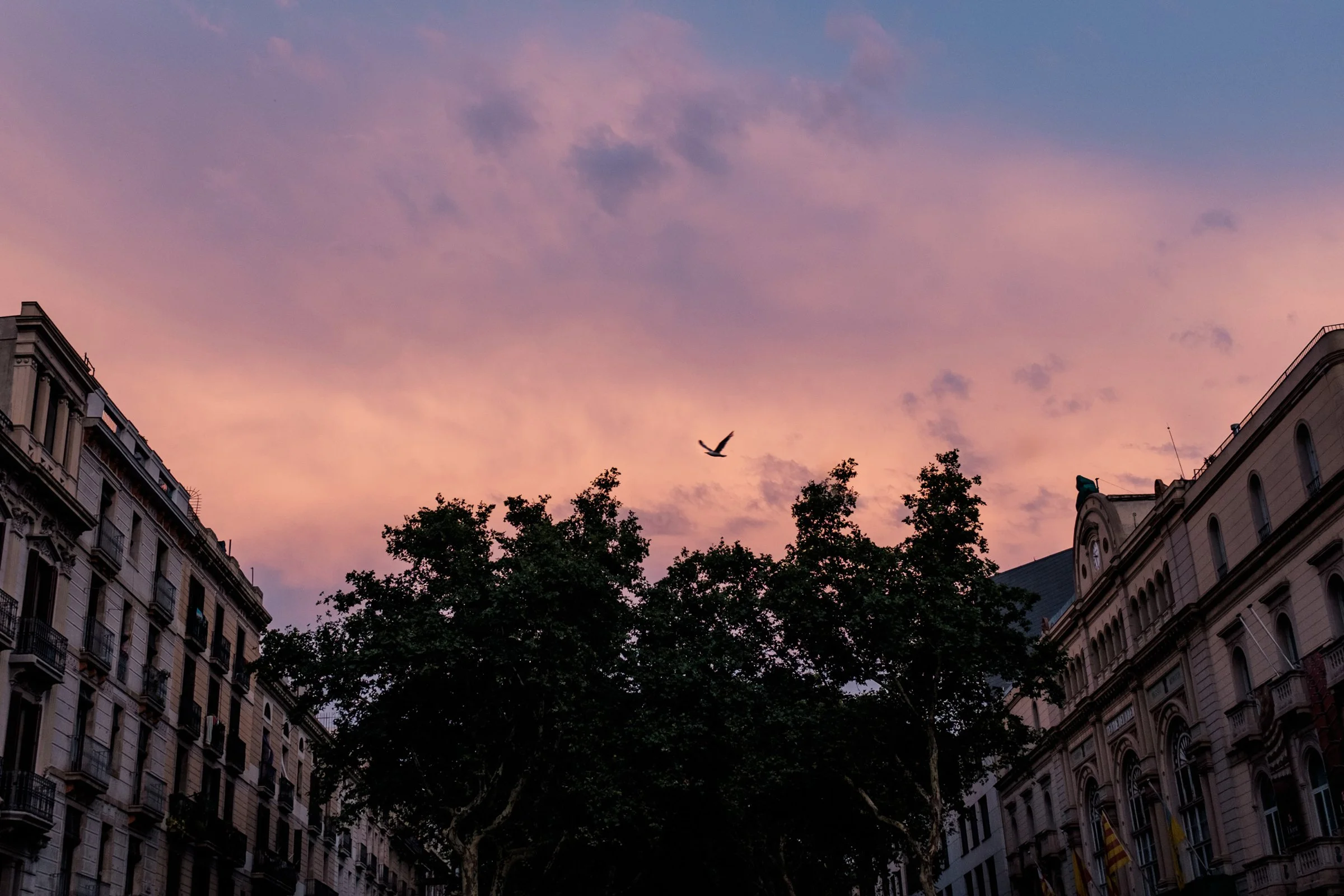 While the mid day heat brought uncomfortability, the skies were breathtaking. La Rambla, with it's central pedestrian path, was bustling with activity day and night. 