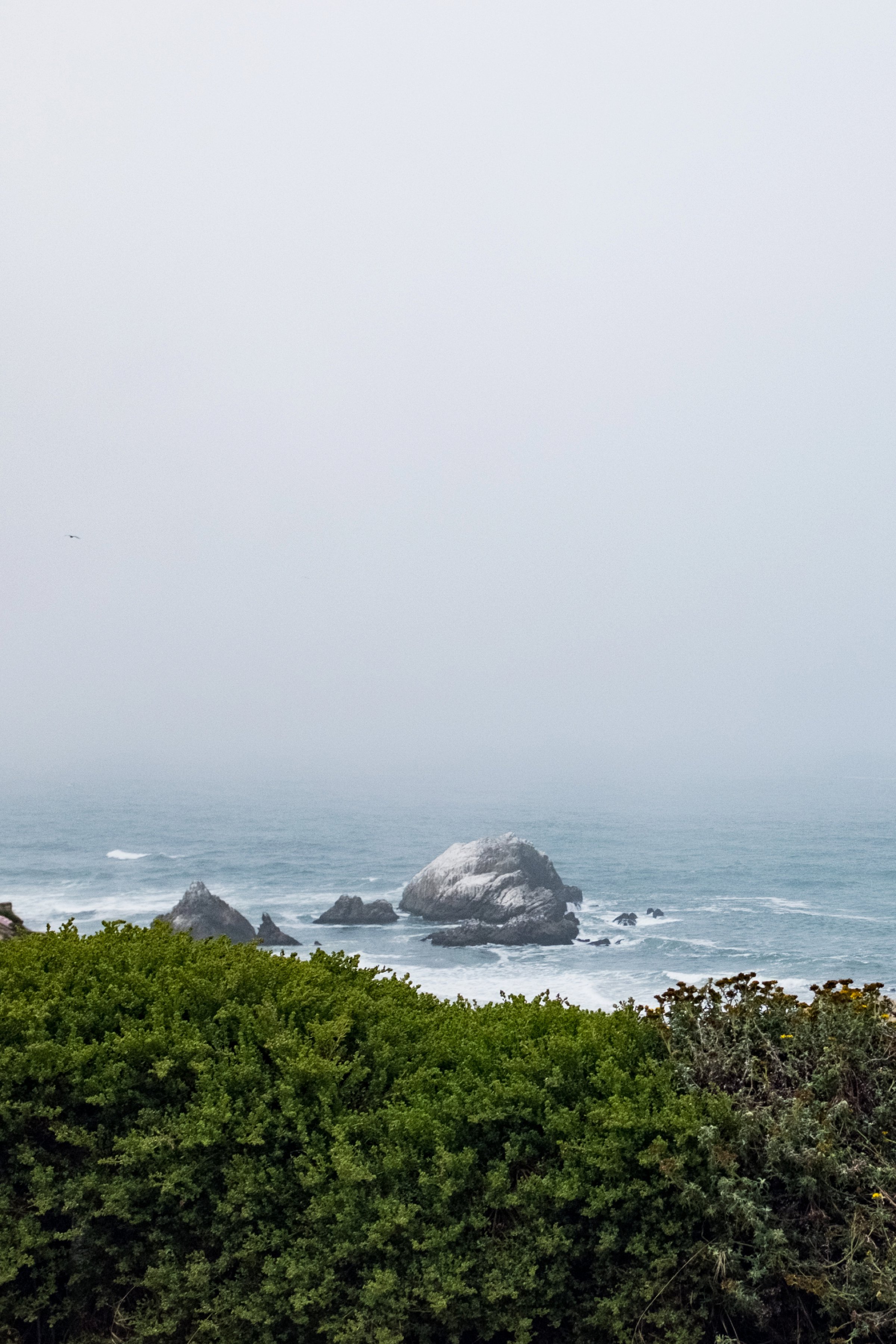 Foggy coastal views never get old