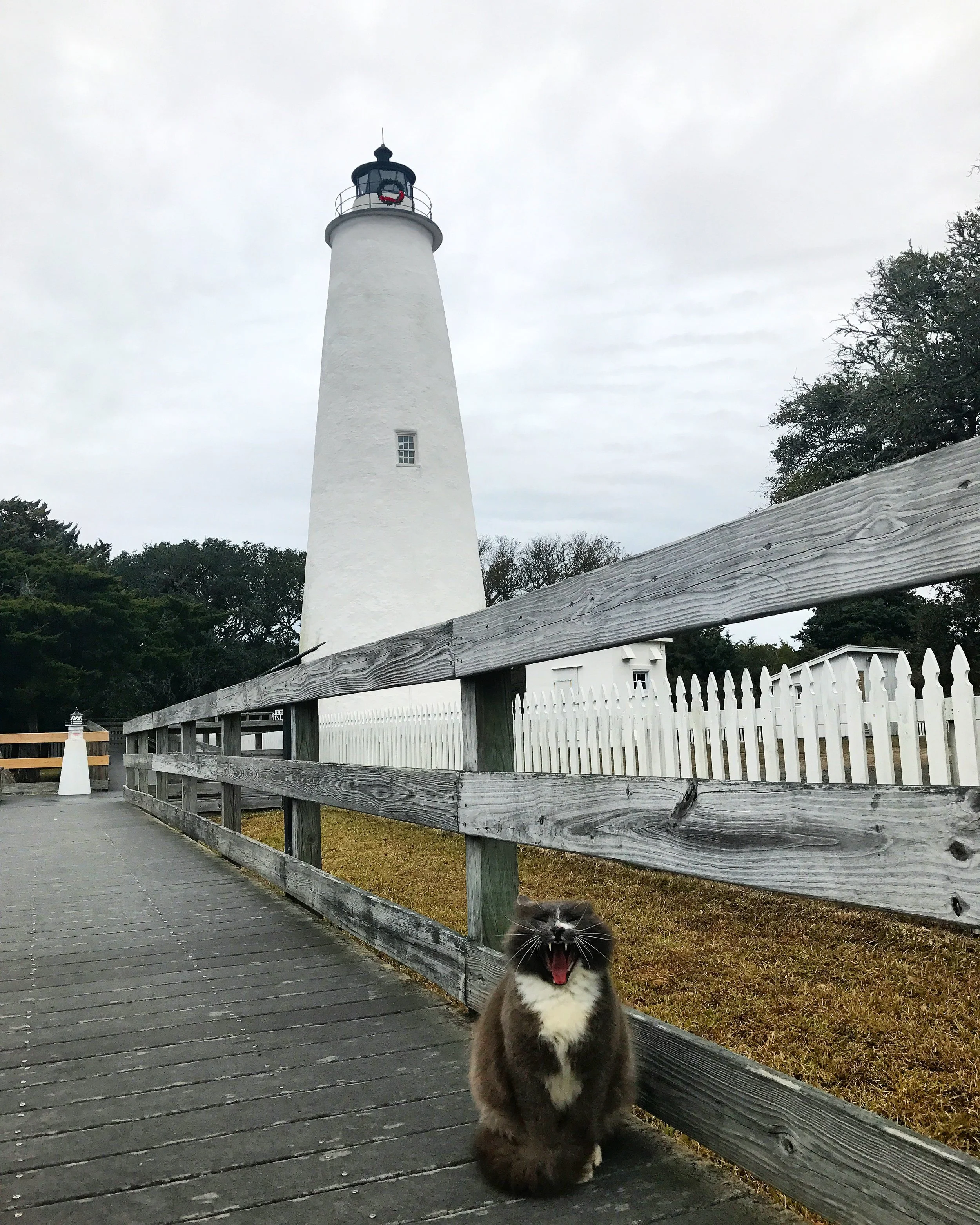 Guardian of the Light