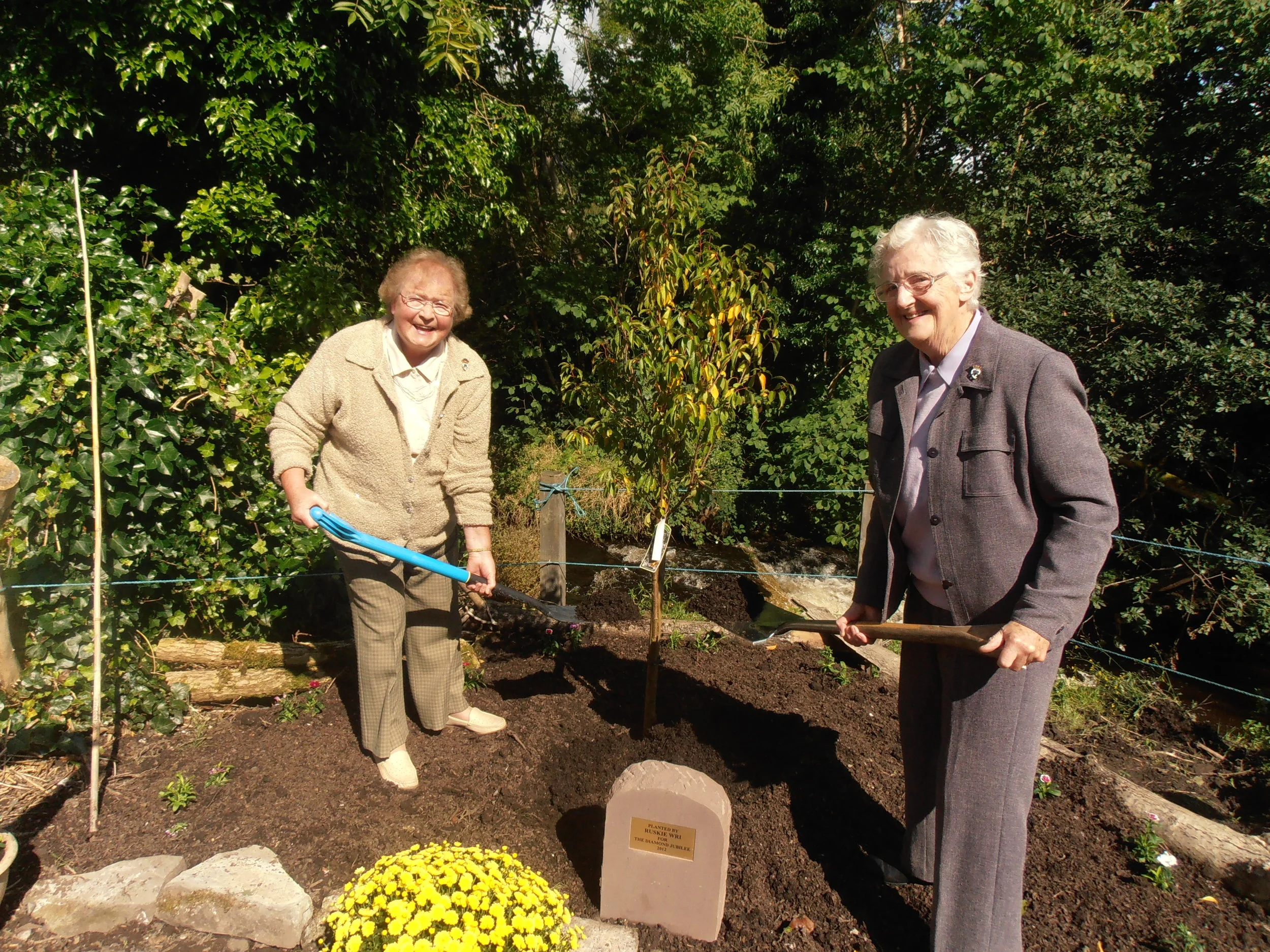 Tree Planting