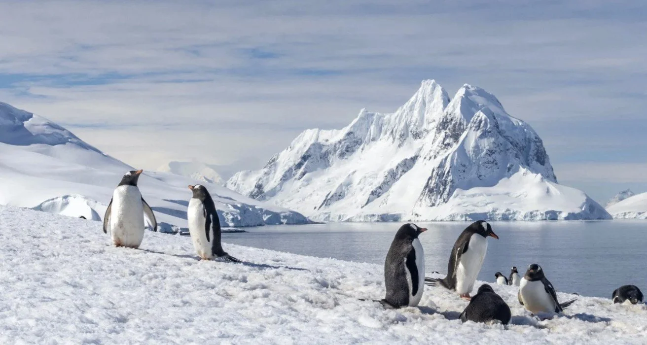 OCTOBER MEETING - Working in Antarctica