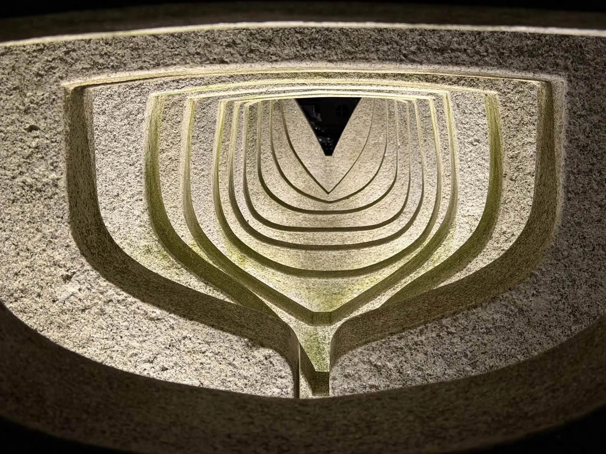 801785681_29204970882439306_5873214222190104834_n.jpg