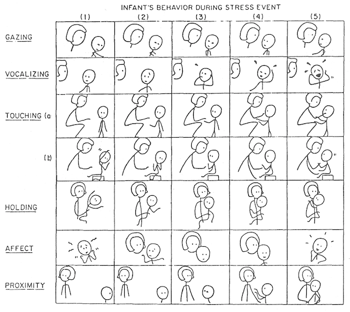 Attachment During Stress Scale