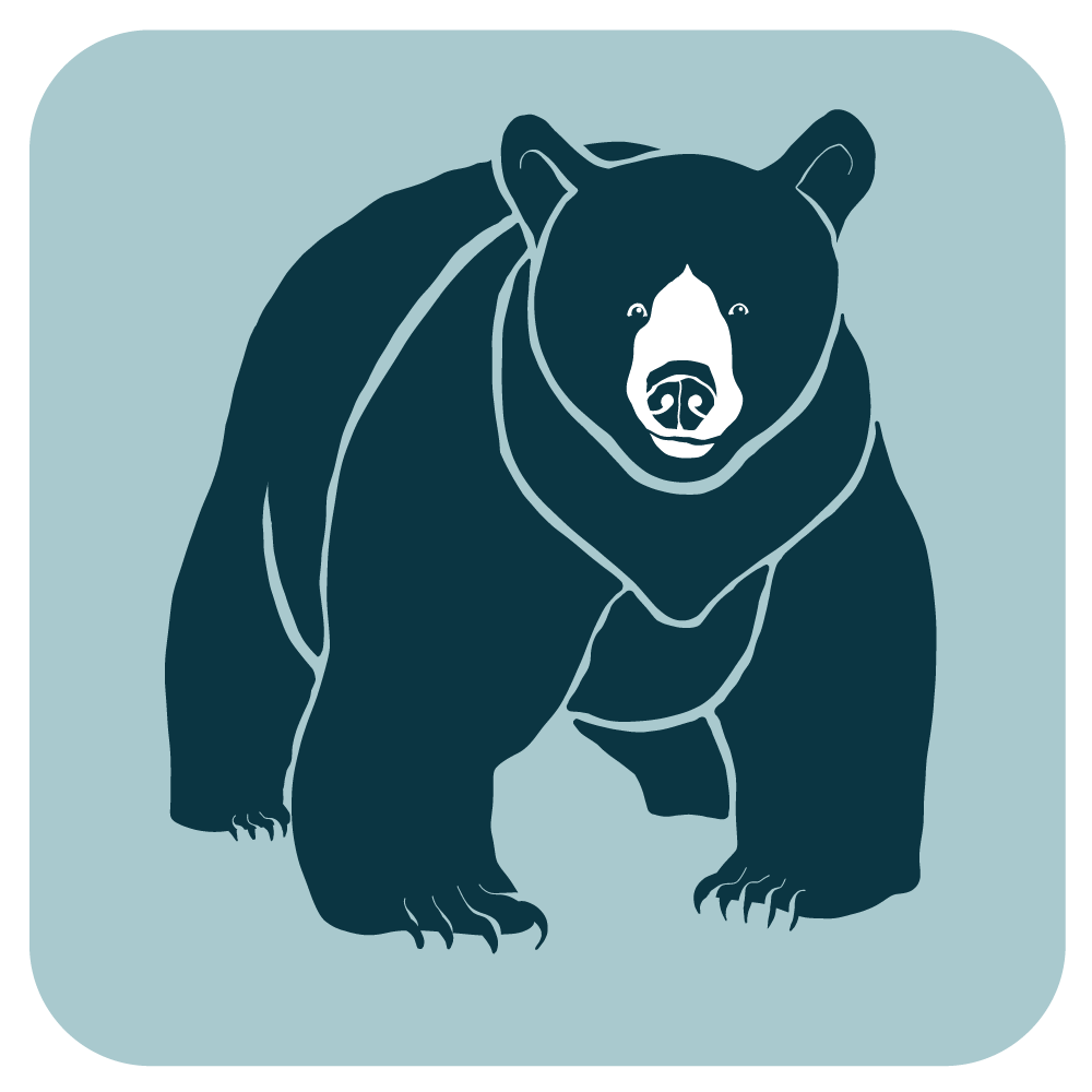 BEARS