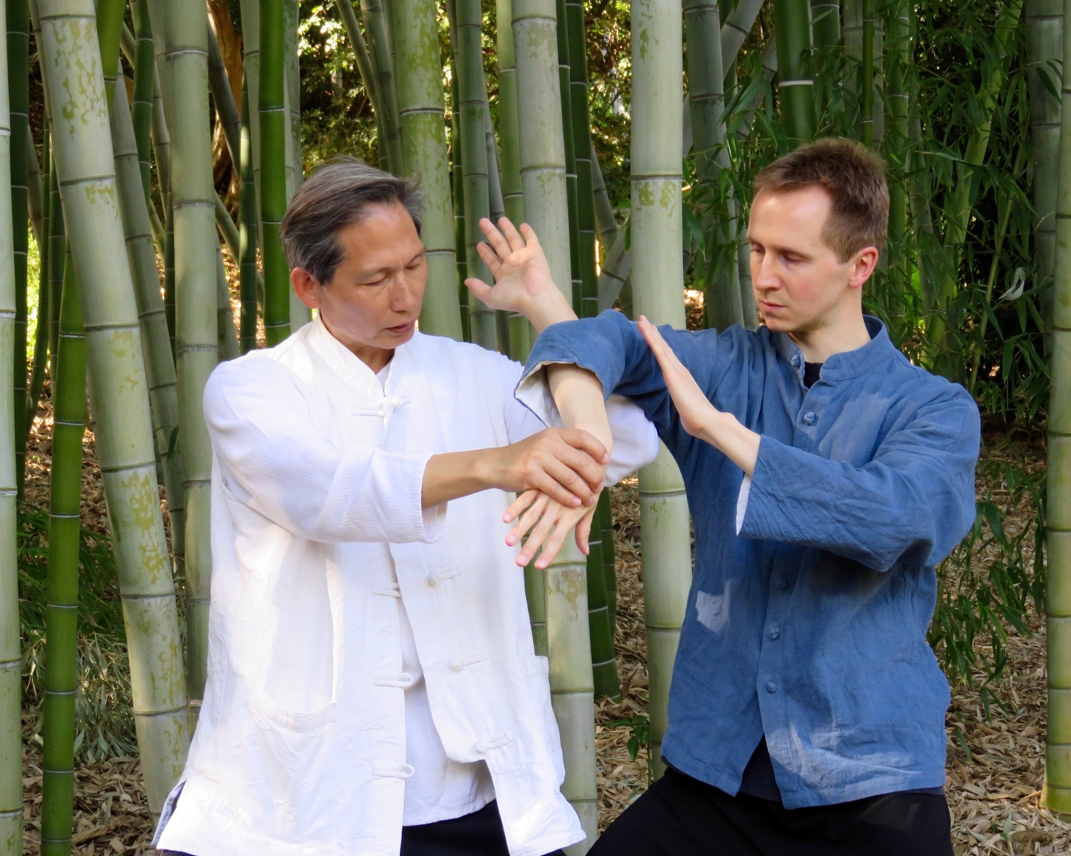 Master Tung, Kuan Yen (left) and Dr. Maarten Vercruysse, The Huntington botanical garden, Los Angeles 2017