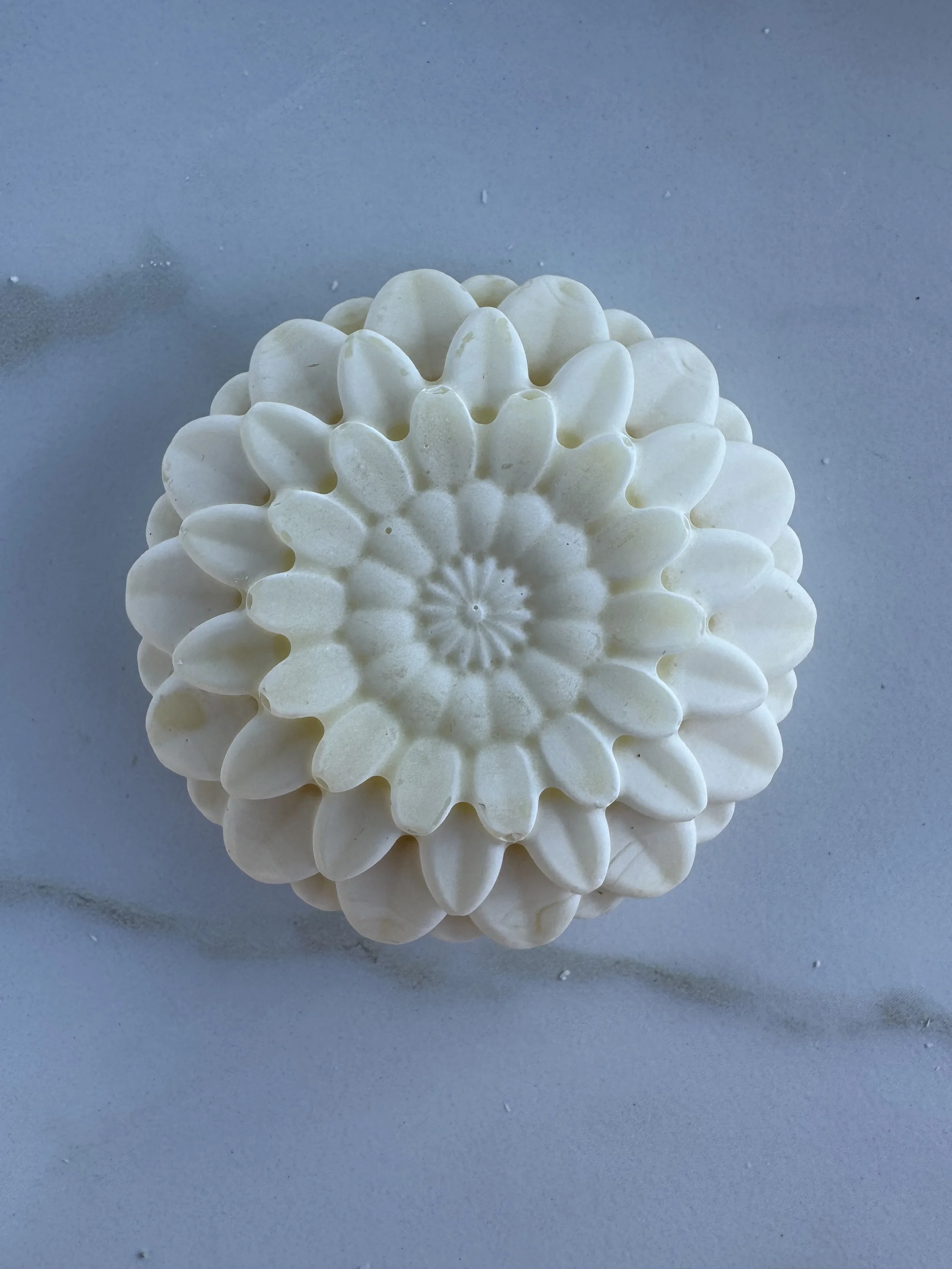 Lemongrass Chrysanthemum