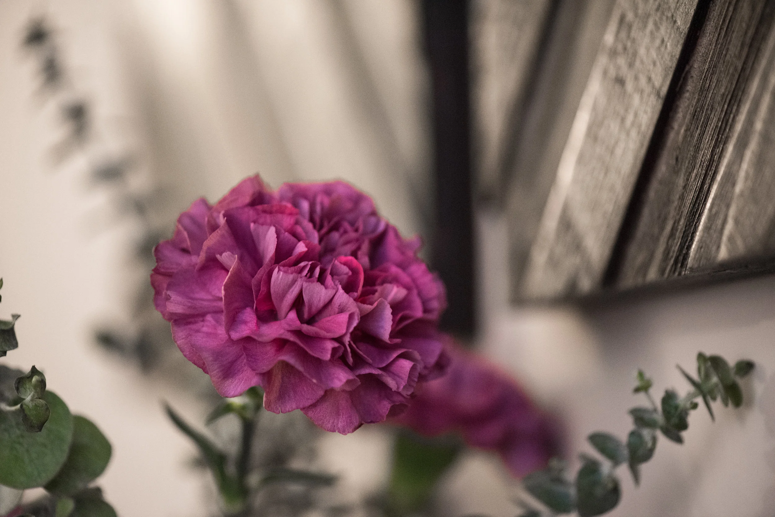 purple flower with wood.jpg