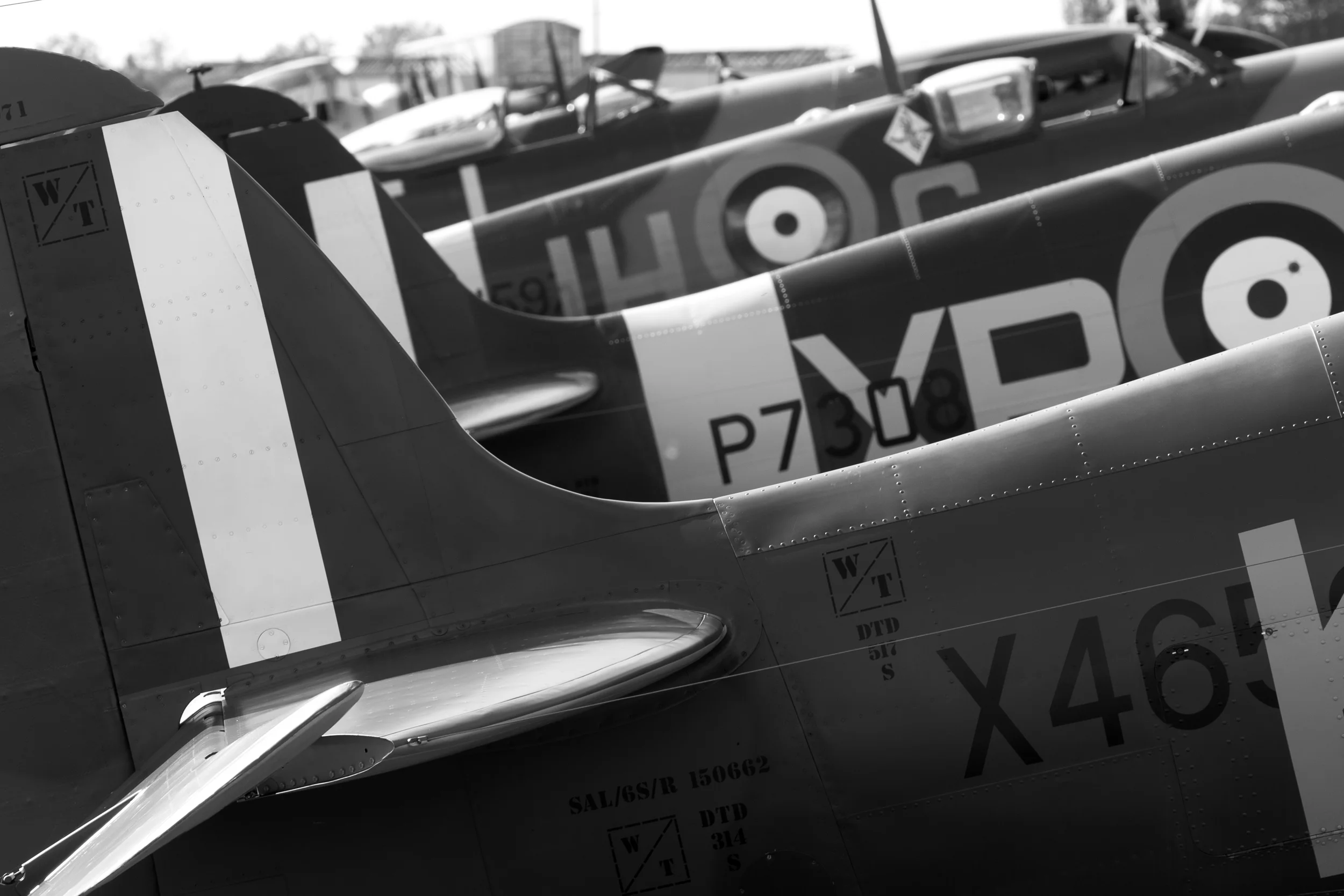 JRW_1036.jpg