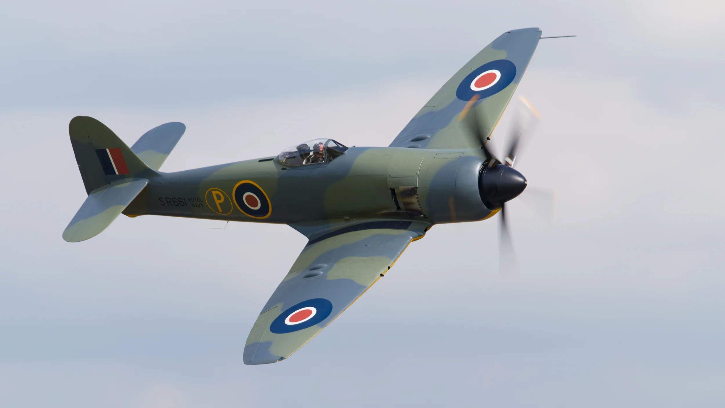 JRW_9088.jpg