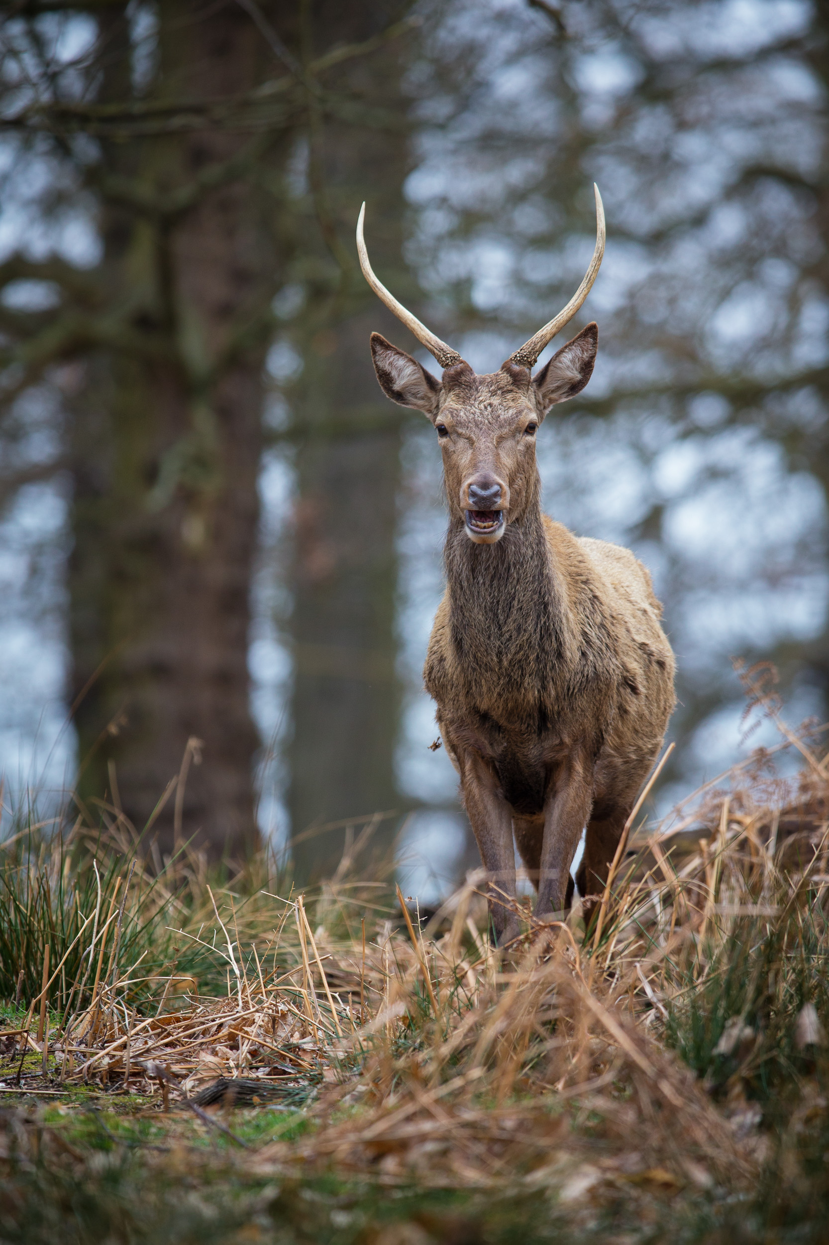 untitled shoot-2677-Edit-Edit.jpg