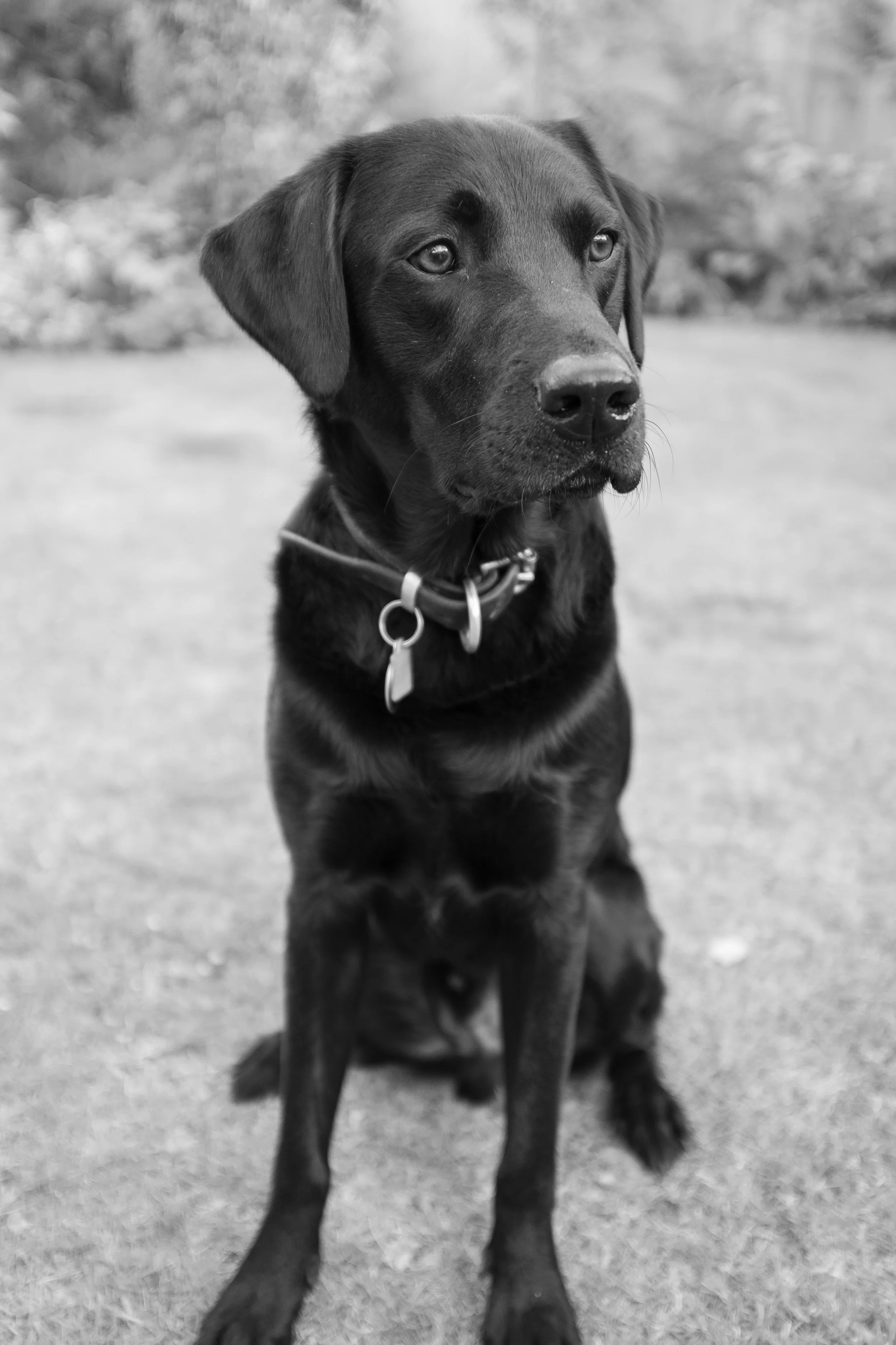 stock-photo-boggle-b-w-35805950.jpg