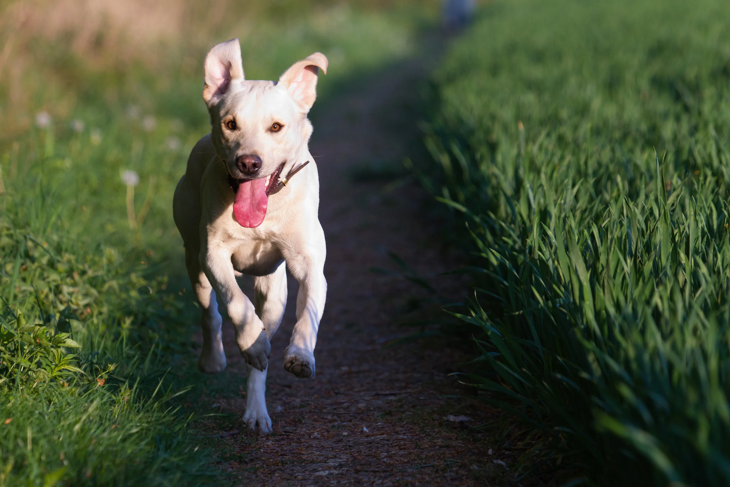 stock-photo-catching-up-73081955.jpg