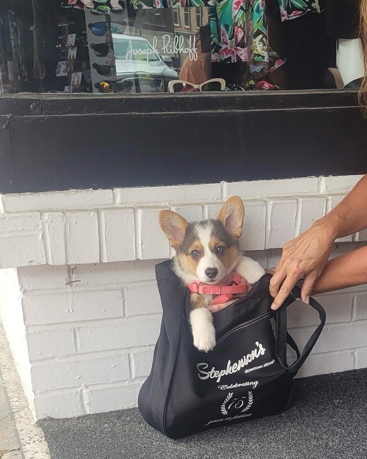 We are grateful to have had another wonderful Sidewalk Sale! Thanks to everyone that joined us (including our new friend Mazie!) ❤️🐾 

#jazzfest #sidewalksale #summer #elkhart #downtownelkhart