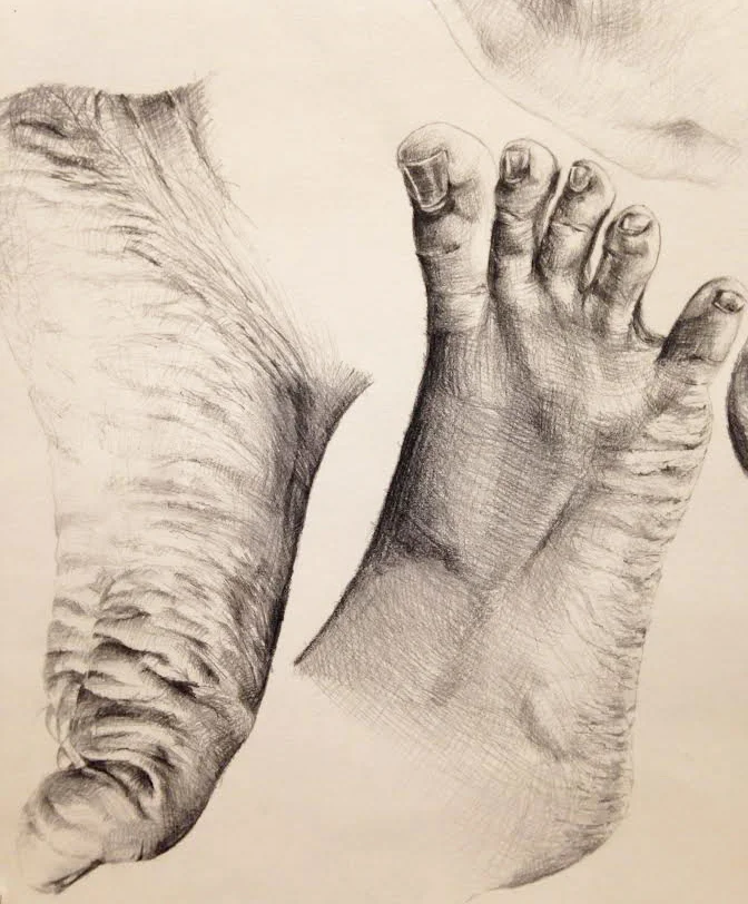 Kashani_Drawing4.jpg