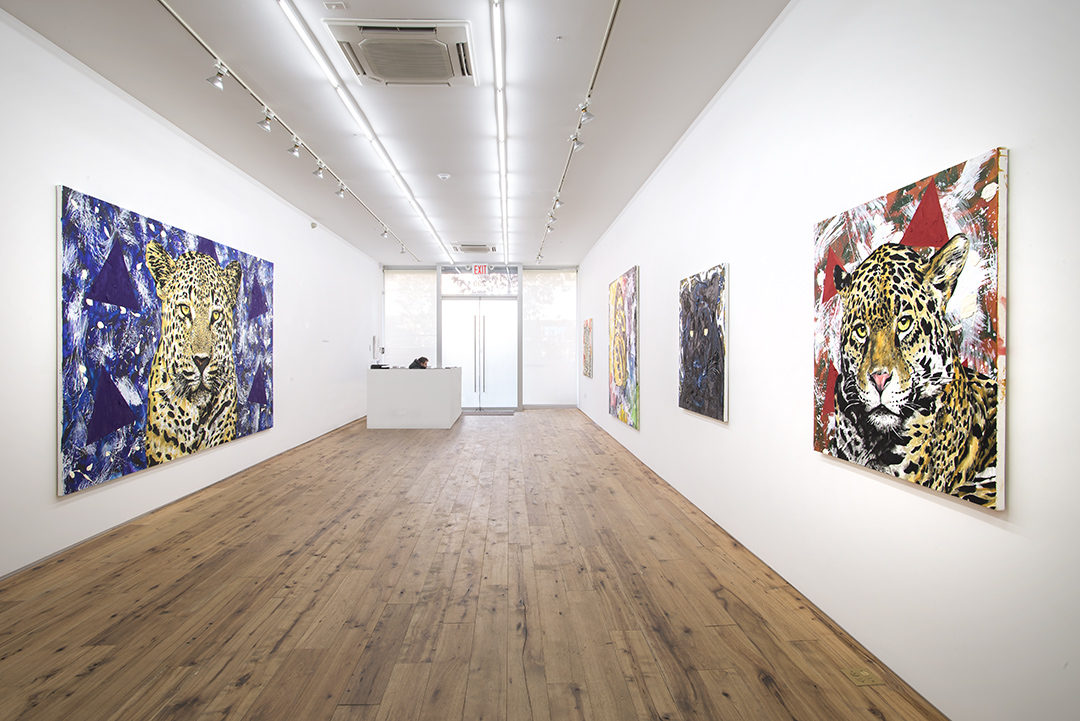 Newsom_2015_Install_Gallery1-6.jpg