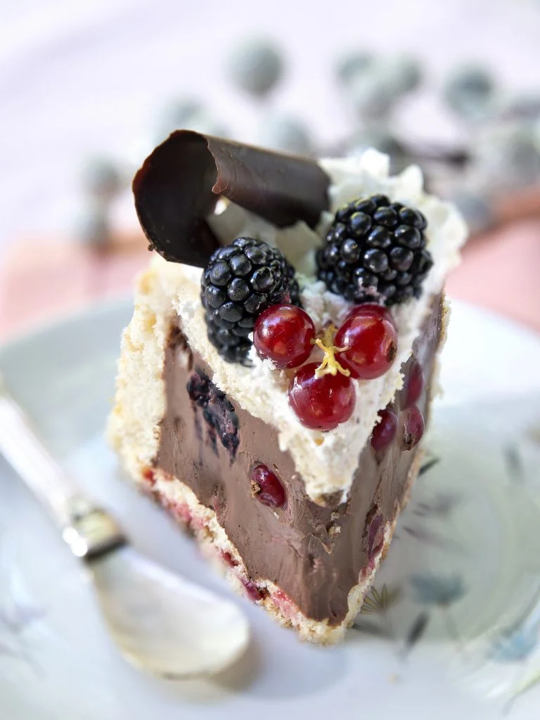 GASTRONOMIA-Charlotta-de-mousse-de-chocolate-al-limon-con-grosellas-2-copia-2-768x1024.jpg