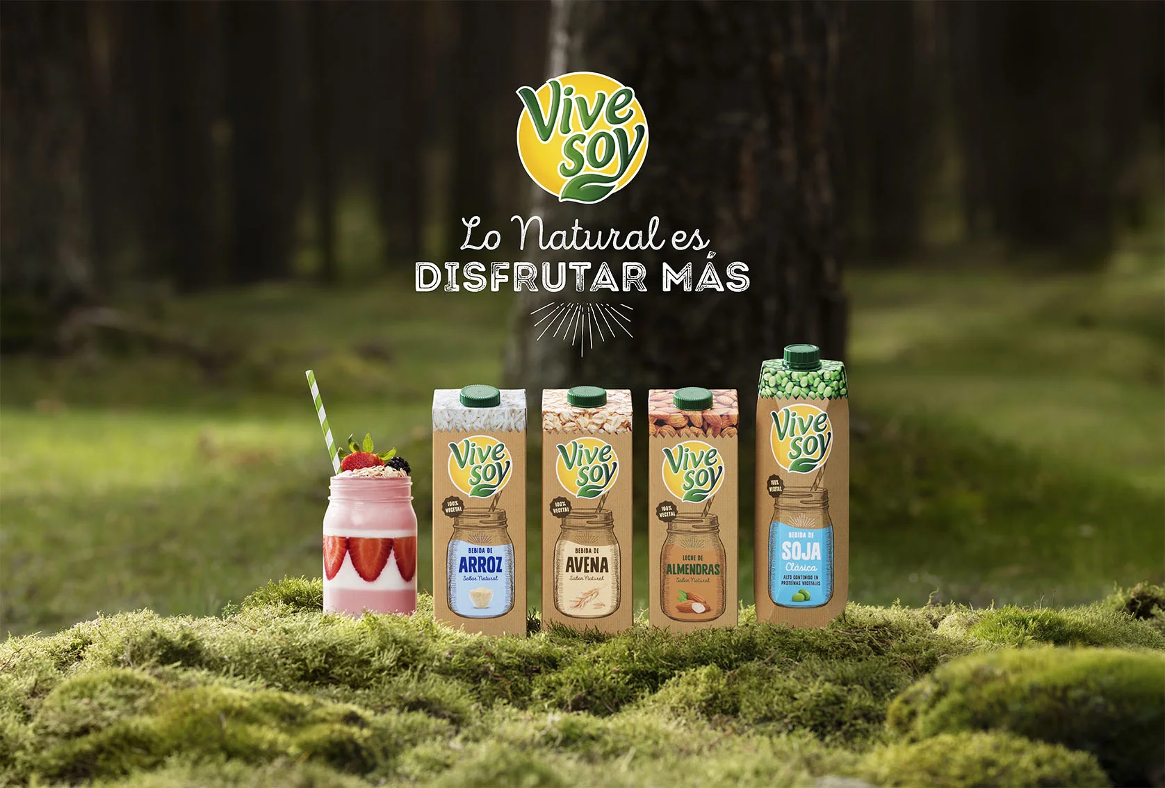 vivesoy.jpg