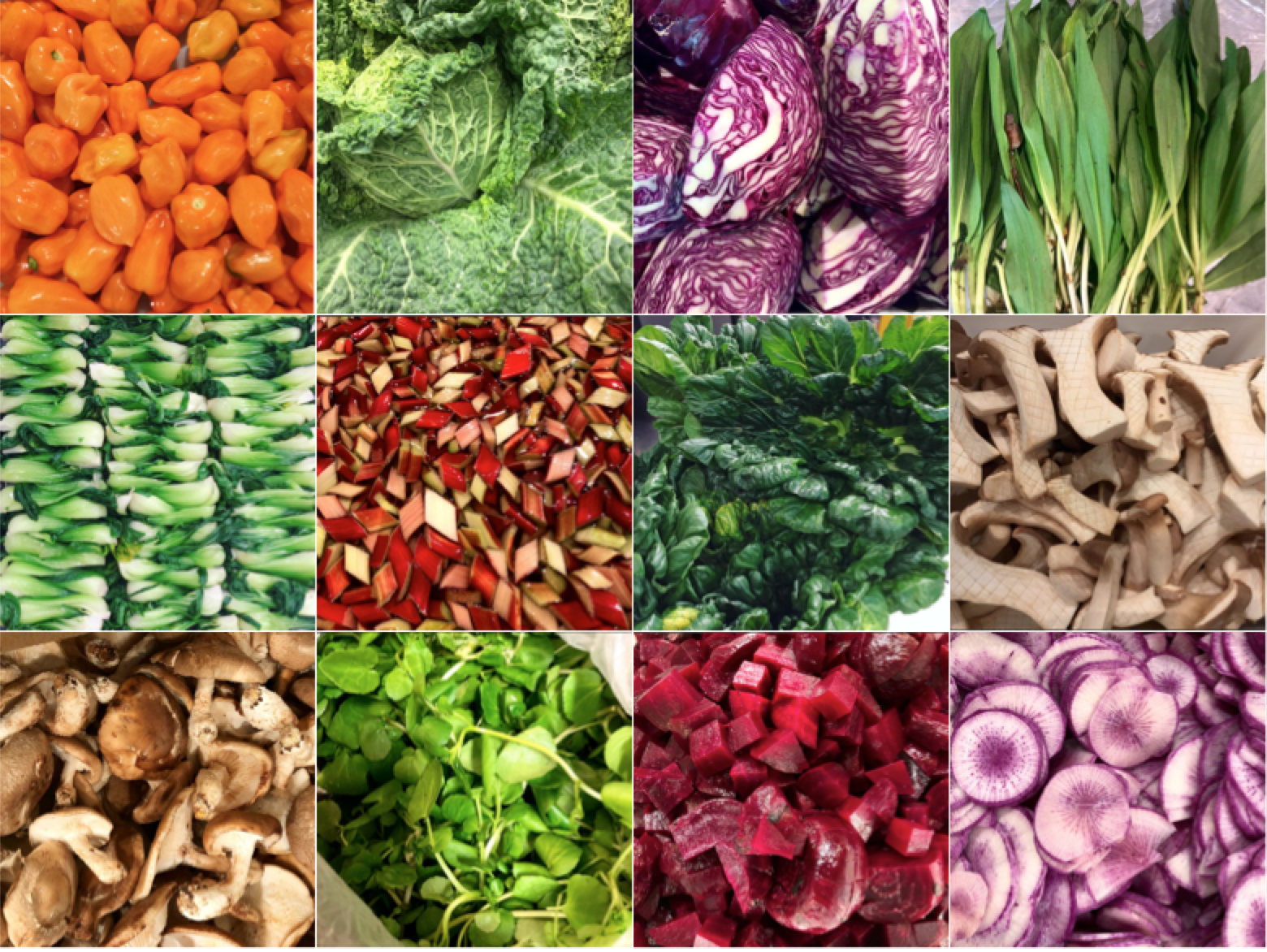 and its focus on fresh ingredients