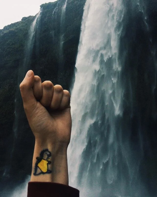Shower time! Iceland memories... small waterfall in the middle of nowhere! 🦖🌸☔️🗻🔸🇮🇸 #iceland #iceland🇮🇸 #icelandtravel #waterfall #seljalandsfoss #nature #wild #albert #albertandsonya #yellowcoat #drawinmytat #posca #drawing #artist #tattoo #