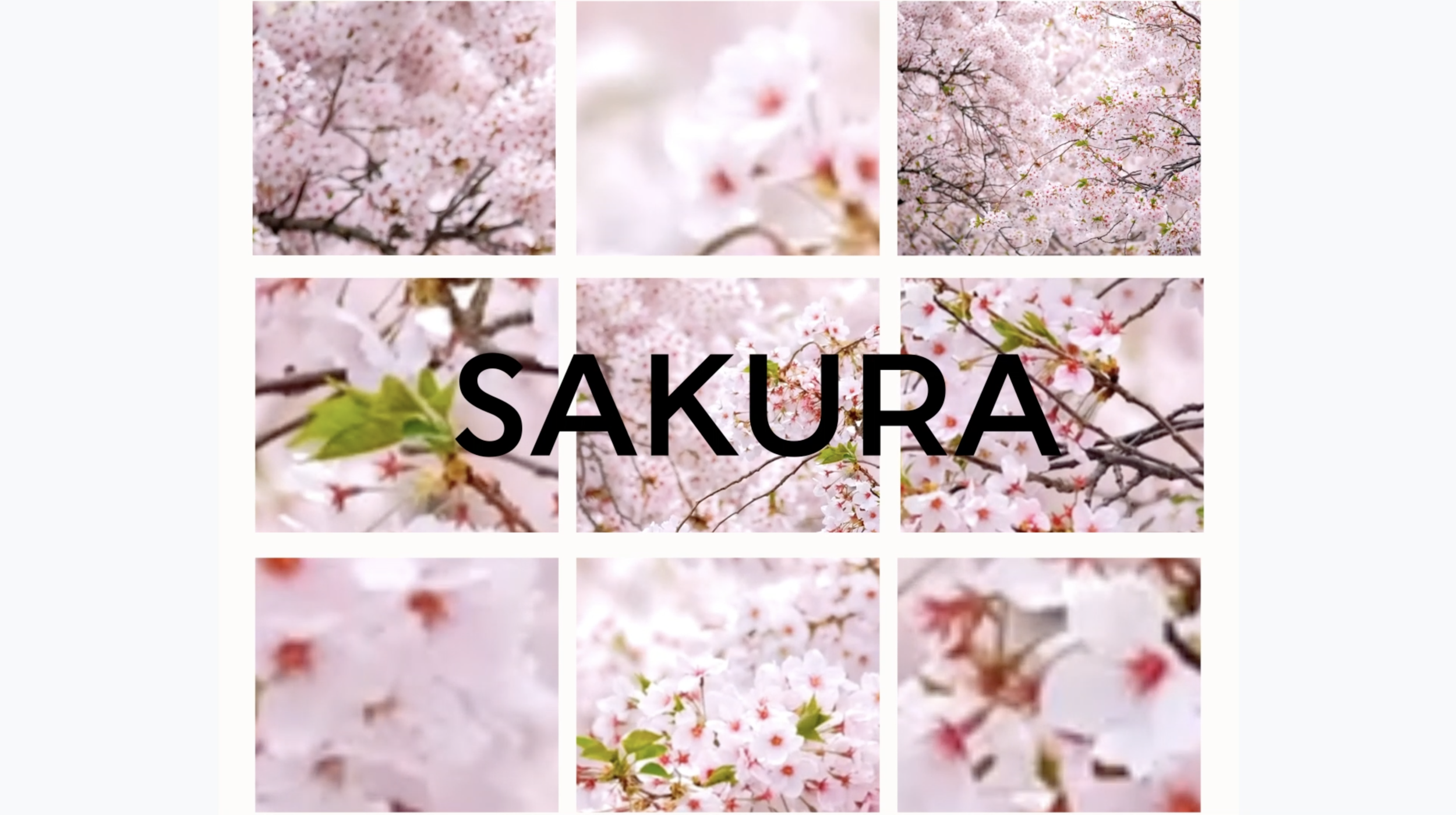 Capture d’écran 2020-12-09 à 18.32.35.png