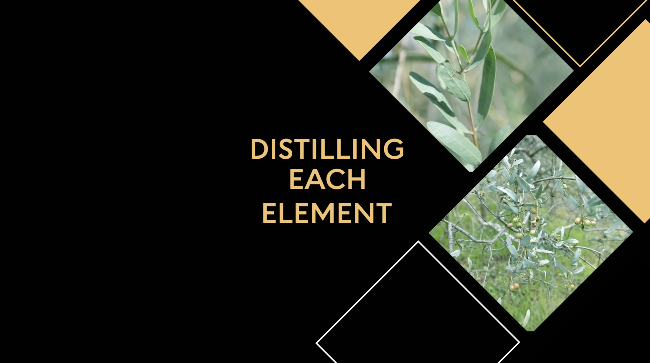 Capture d’écran 2020-12-09 à 18.32.46.png