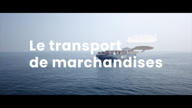 01022024_Le transport maritime_V4.gif
