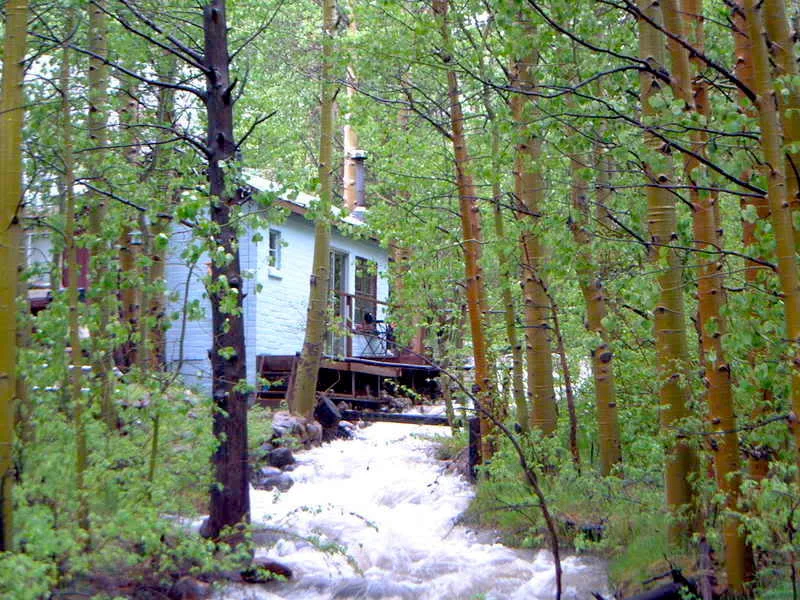 Hilton Creek Cabin - Use code eastside25 for $25 off any stay!