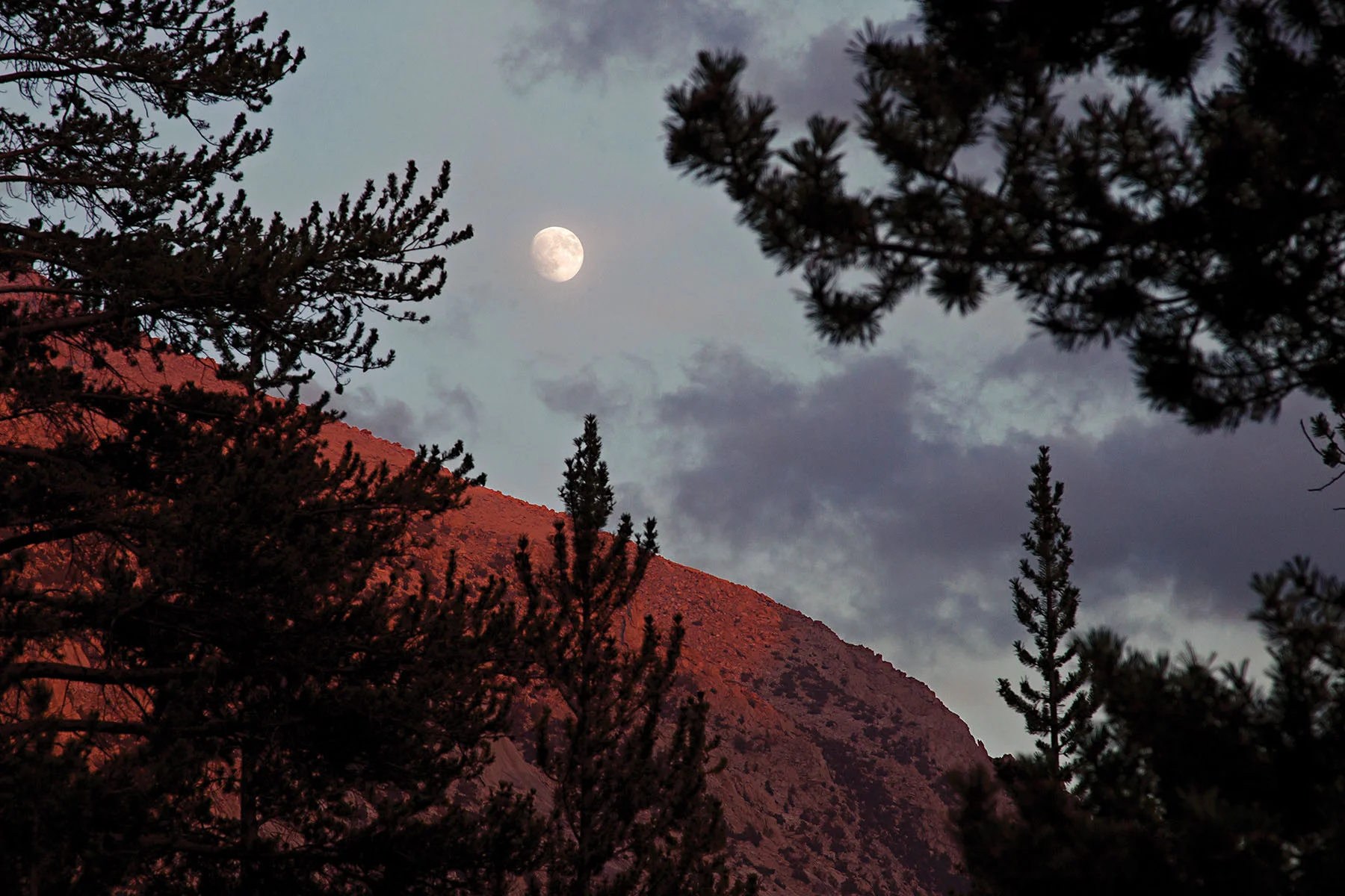 Moonrise over Vidette Meadow in Kings Canyon National Park