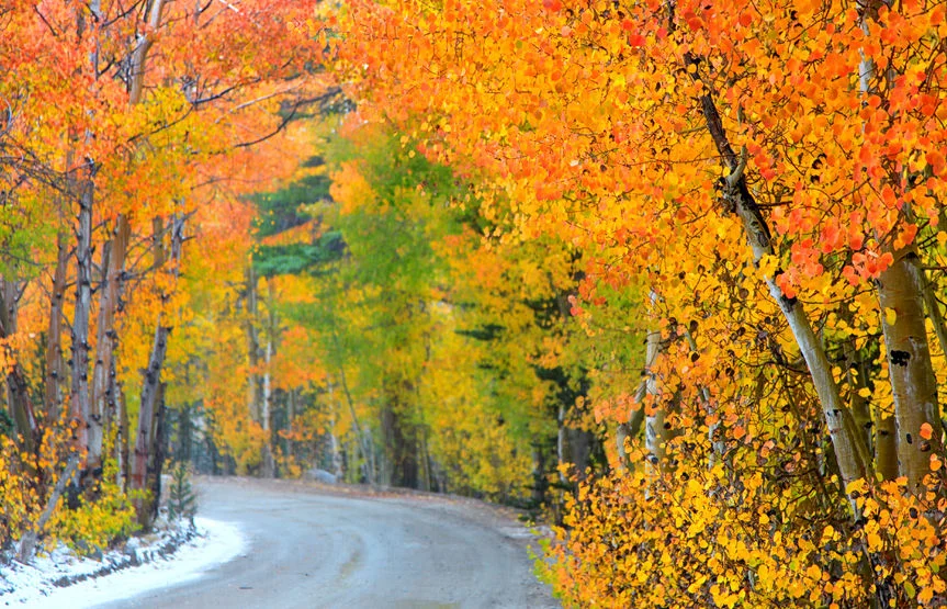 Autumn can bring light snowfall along with colorful leaves
