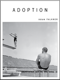 adoption-falkner.png