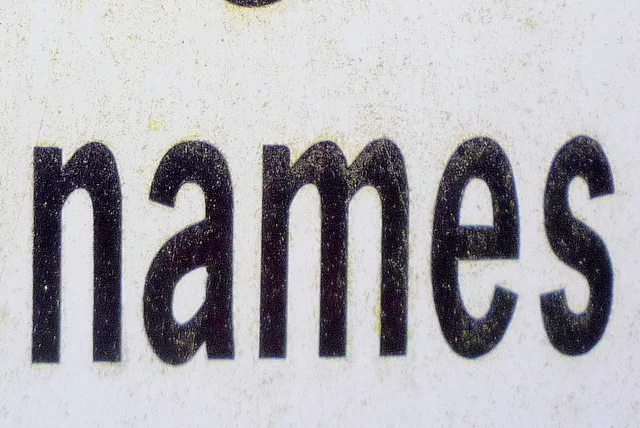 names.jpg