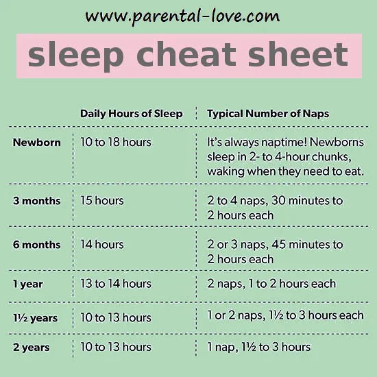 How Much Sleep Does A Baby Require? 