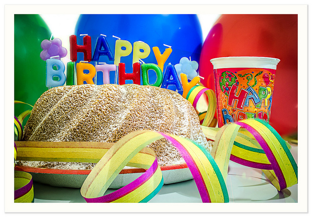8 Budget-Friendly First Birthday Party Ideas