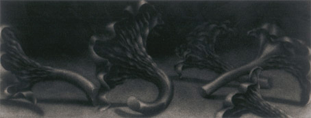 This mezzotint accompanies the following exhibition which highlights John Cage's collection of fungi writings & imagery