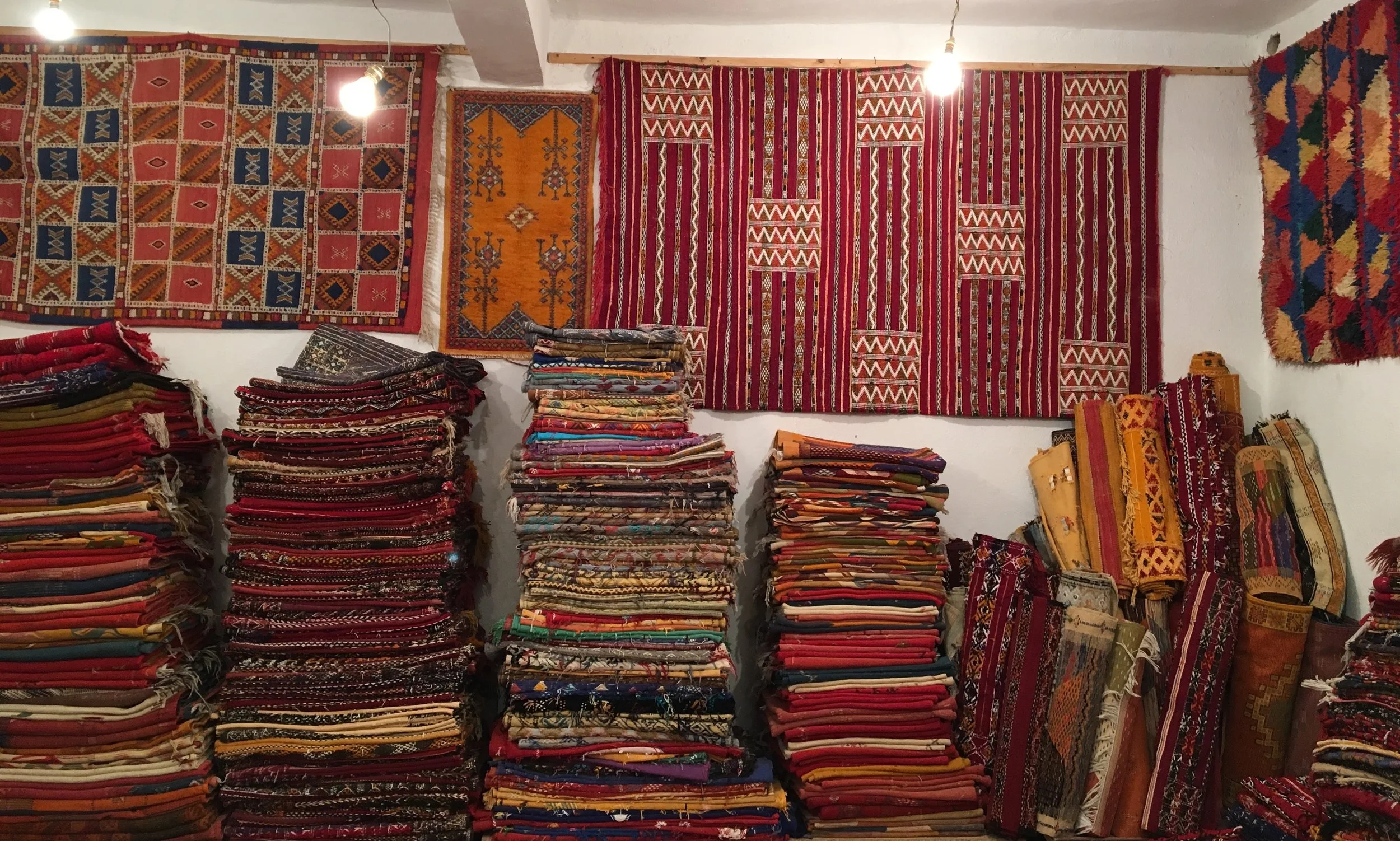 HollyDownwing_Morocco.jpg