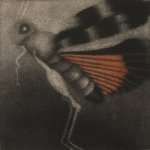 VanishingVI: Red-winged Grasshopper 3" x 3"; hand-colored mezzotint