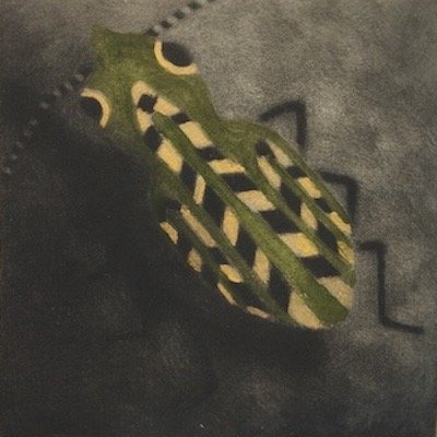 Vanishing III: Delta Green Ground Beetle, 3" x 3", hand-colored mezzotint