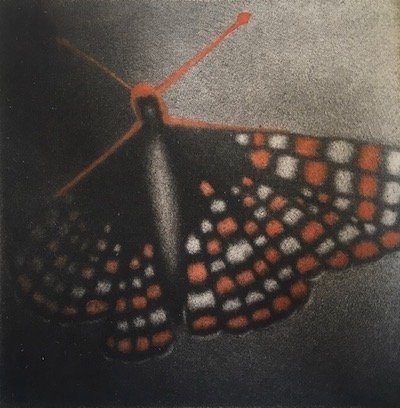 Vanishing XI: Bay Checkerspot Butterfly, 3"x 3", hand-colored mezzotint