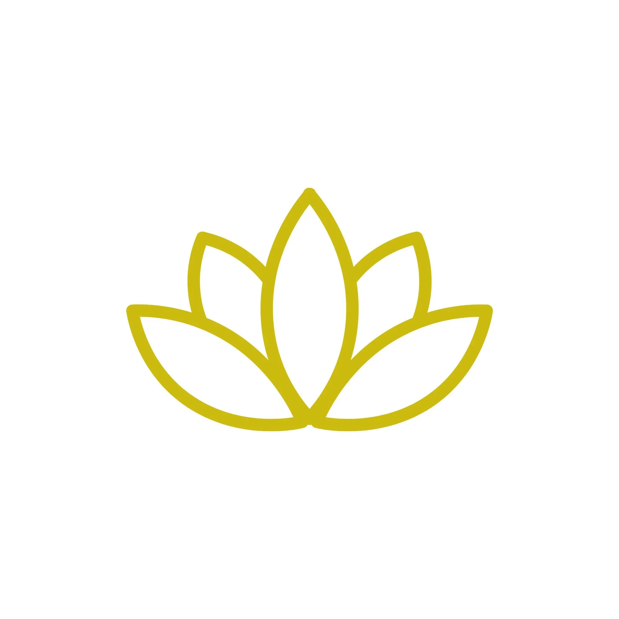 A simple illustration of a flower with multiple petals outlined in yellow.