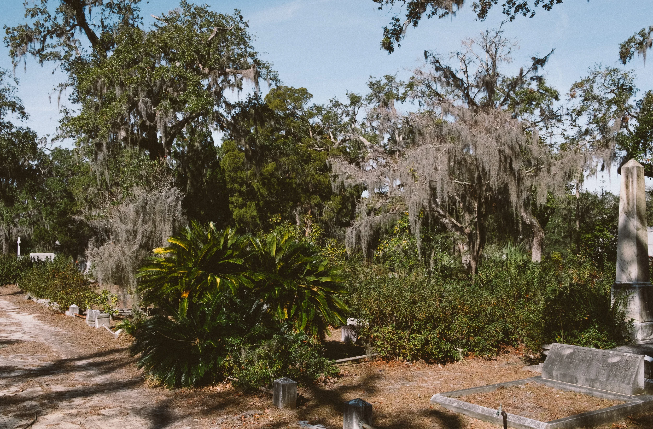 DSCF6958.jpg