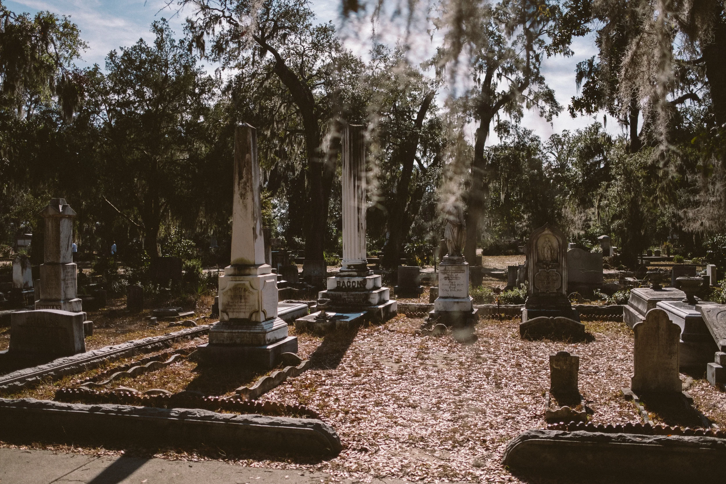 DSCF6978.jpg