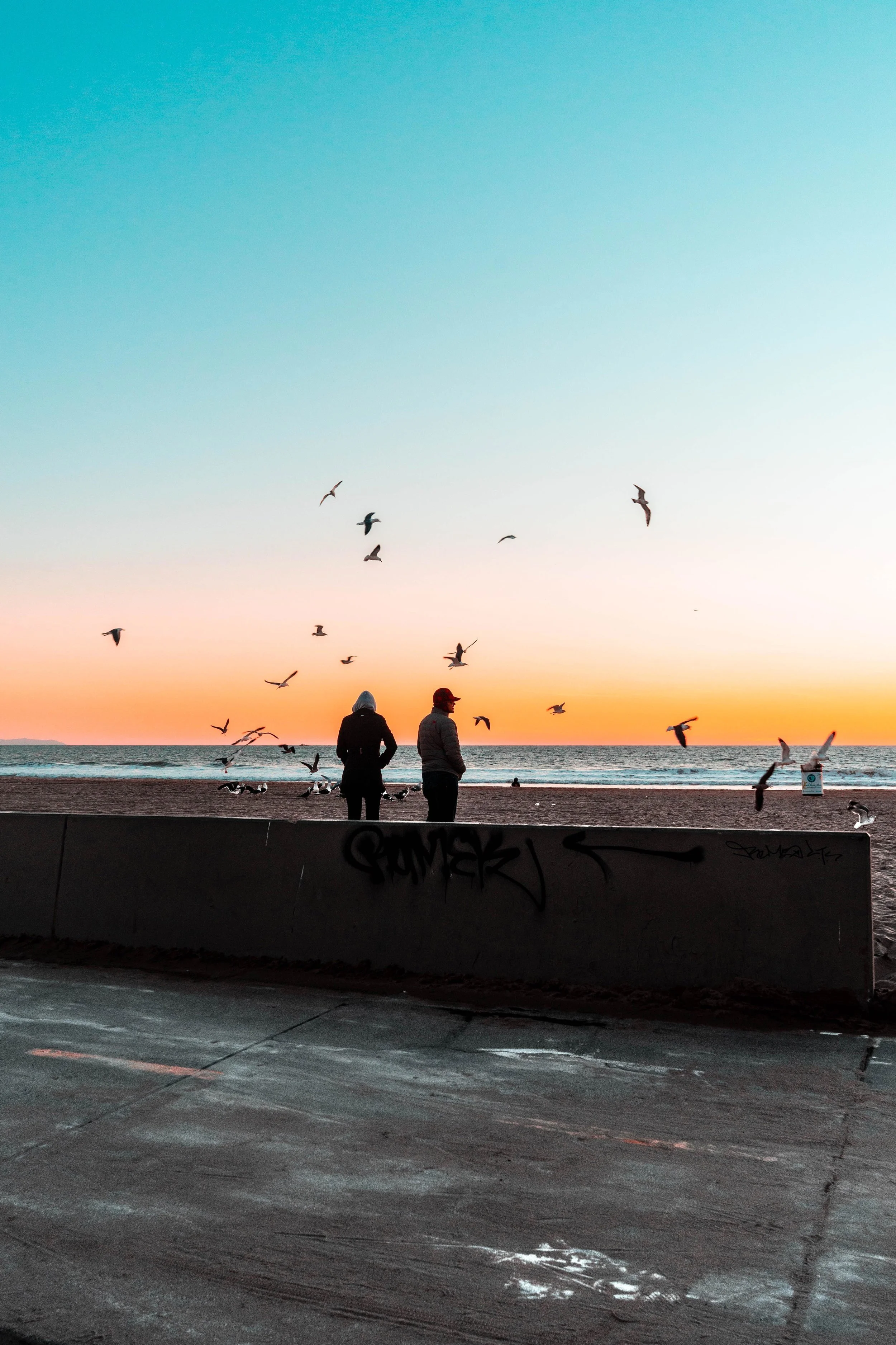 _DSC7003.jpeg