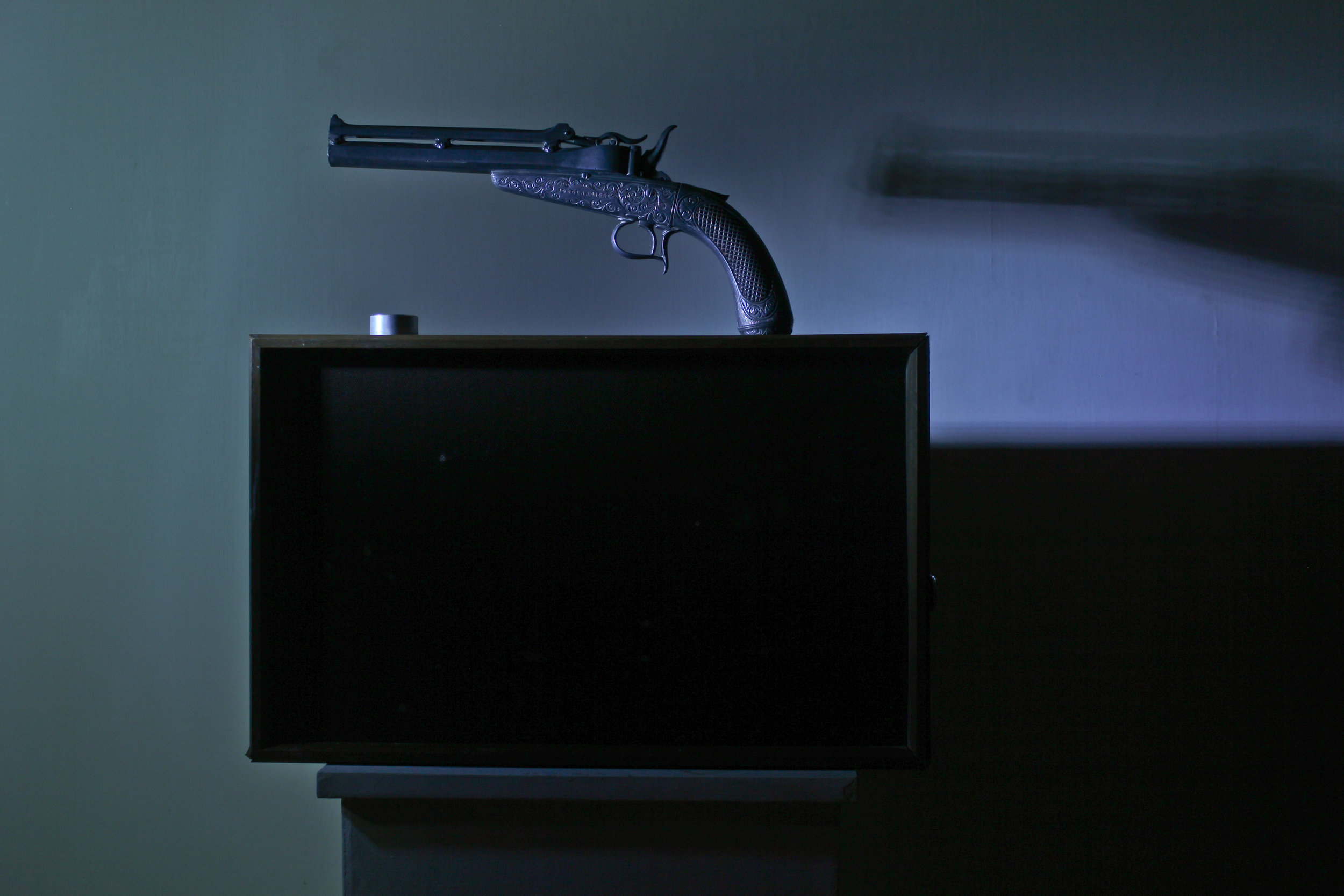 gun-5.jpg