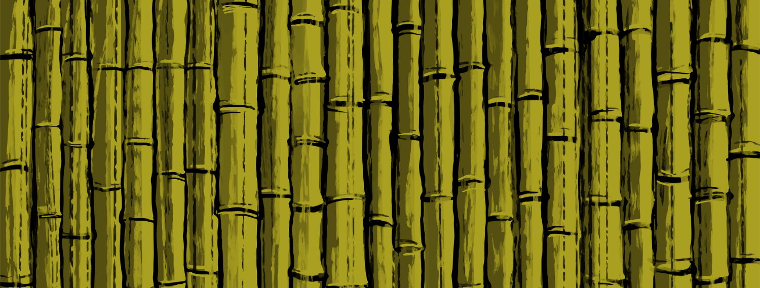 rsz_cam_vector_background1.png